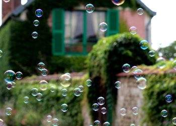 Housing Bubble (1)