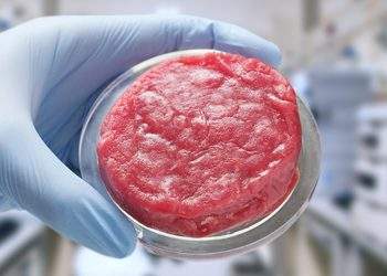 Lab Grown Meat