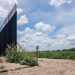 Cartels Using Video Games to Recruit Scouts for the Border