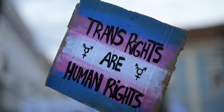 University of California Pays for Female Students to Have Penises Made From Their Arms