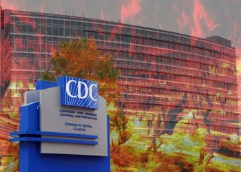 CDC