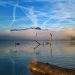 Chemtrails