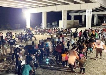 Border Invasion Gives Texas ‘Power to Put Hands on People and Send Them Back,’ Says Lt. Gov.