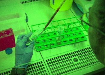 Immune Imprinting