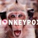 Monkeypox (1)