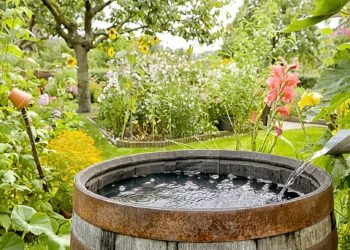 Rainwater
