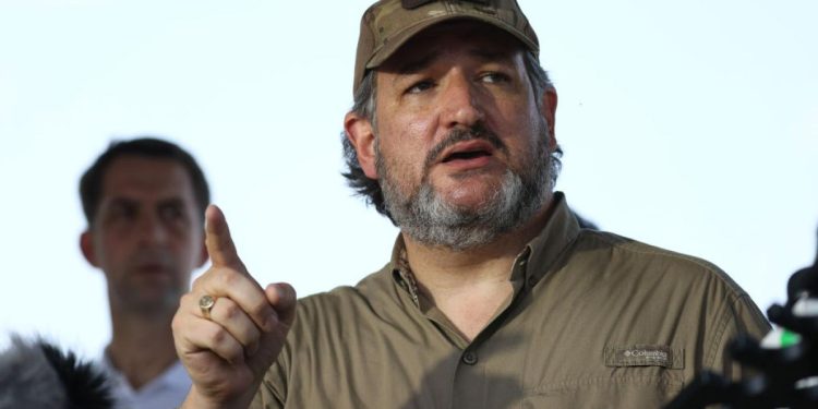 'Rape tree': GOP senators decry human smuggling cartels' shocking sexual abuse of migrant women