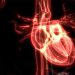 Vaccine Myocarditis