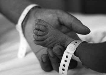 National Right to Life website taken down by cyberattack
