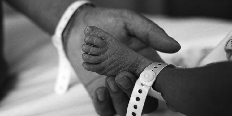 National Right to Life website taken down by cyberattack