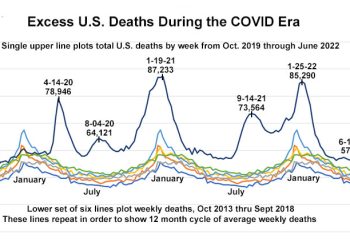 Excess Deaths in America Are Still Excessive