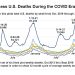 Excess Deaths in America Are Still Excessive