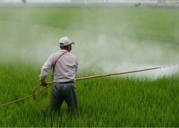 Biden administration’s farcical climate policies to devastate farmers, exacerbate food shortages