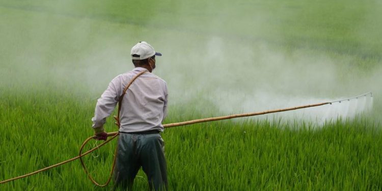 Biden administration’s farcical climate policies to devastate farmers, exacerbate food shortages