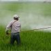 Biden administration’s farcical climate policies to devastate farmers, exacerbate food shortages