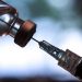 Polio Cases Continue to Rise as a Result of Vaccine-Created Strains.