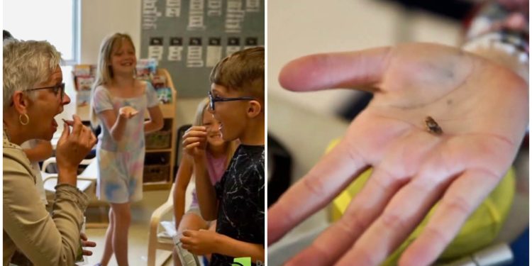 Indoctrination: Campaign Called “Classroom of the Month” Gives Young Children Rewards, Including Roasted Crickets as a Snack (VIDEOS)