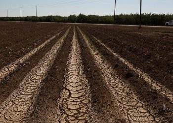 California Farms