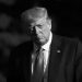 Donald Trump (1)