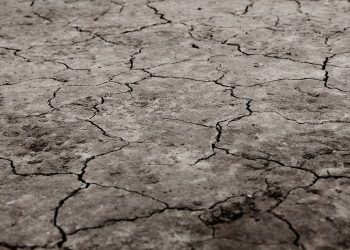 Drought (2)