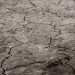 Drought (2)