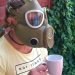 Prepper
