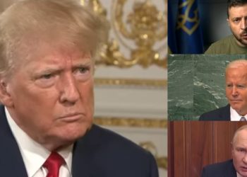 Donald Trump Offers to Broker Peace Deal Between Ukraine, USA and Russia