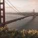 California (1)