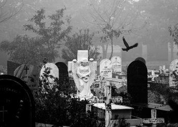 Excess Deaths