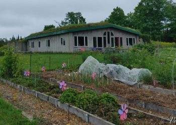 Homestead