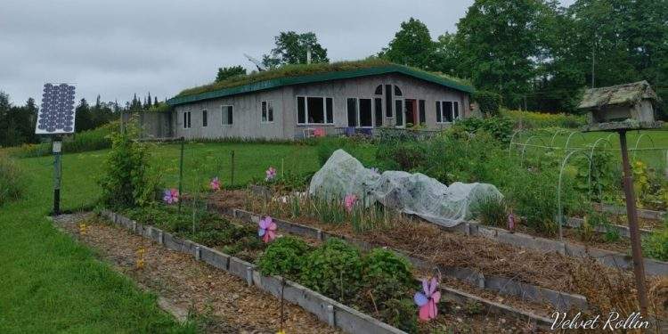 Homestead