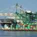 Transpacific Shipping Drops 75% During Peak Season as Joe Biden Energy Inflation Bites and Consumer Spending Collapses
