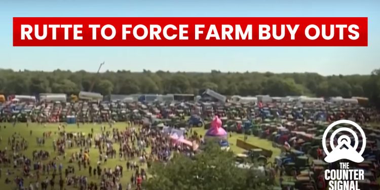 Netherlands to forcefully shut down 3,000 farms