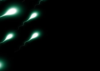 Sperm