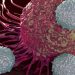 Oncologist Sends Urgent Letter: Stable Cancers and other Diseases Are Rapidly Progressing in 'Boosted' People