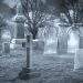 Excess Deaths Covid Vaccines