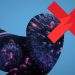 Twitter Covid Censorship