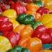 Vegetables