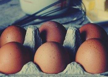 Egg Prices