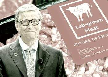 Bill Gates Fake Meat
