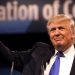 Donald Trump (1)