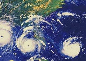 Economic Hurricane