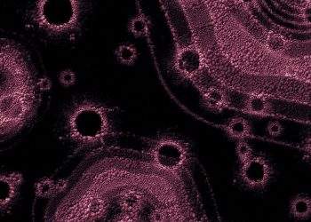 Graphene