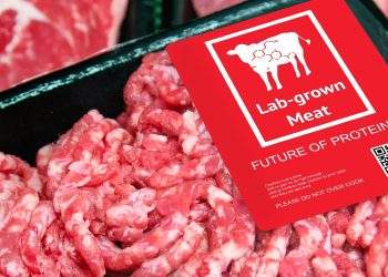 Lab-Grown Beef