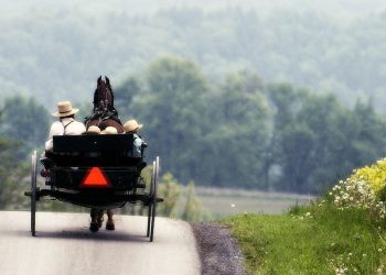 Amish Covid