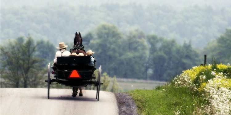 Amish Covid