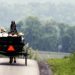 Amish Covid