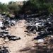 Border Trash