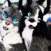 Children Furries