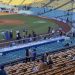 Dodgers